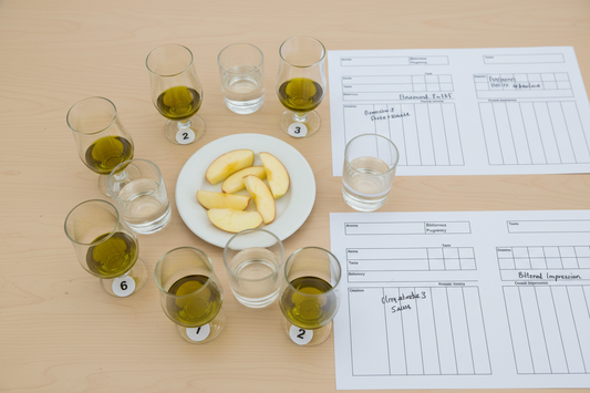 Every Olive Oil Has Won an Award. Here's How to Tell Which Ones Actually Matter